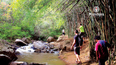 Trilha das Cachoeiras - Socorro SP