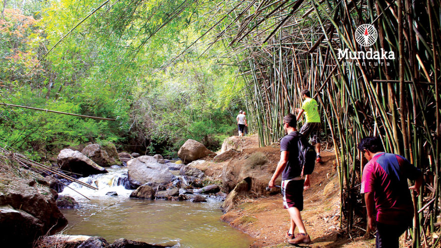 Trilha das Cachoeiras - Socorro SP