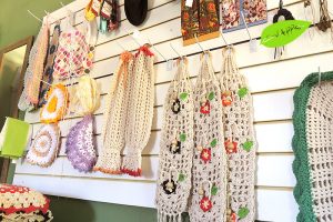 cachoeira dos félix – Bueno Brandão – MG