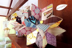 cachoeira dos félix – Bueno Brandão – MG