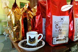 cachoeira dos félix – Bueno Brandão – MG