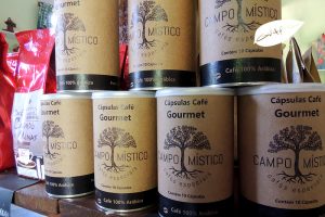 cachoeira dos félix – Bueno Brandão – MG