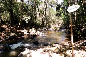 cachoeira dos félix – Bueno Brandão – MG