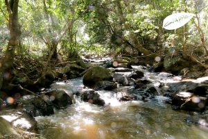 cachoeira dos félix – Bueno Brandão – MG