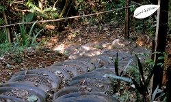 cachoeira dos félix – Bueno Brandão – MG