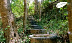 cachoeira dos félix – Bueno Brandão – MG