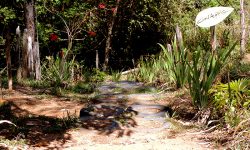 cachoeira dos félix – Bueno Brandão – MG